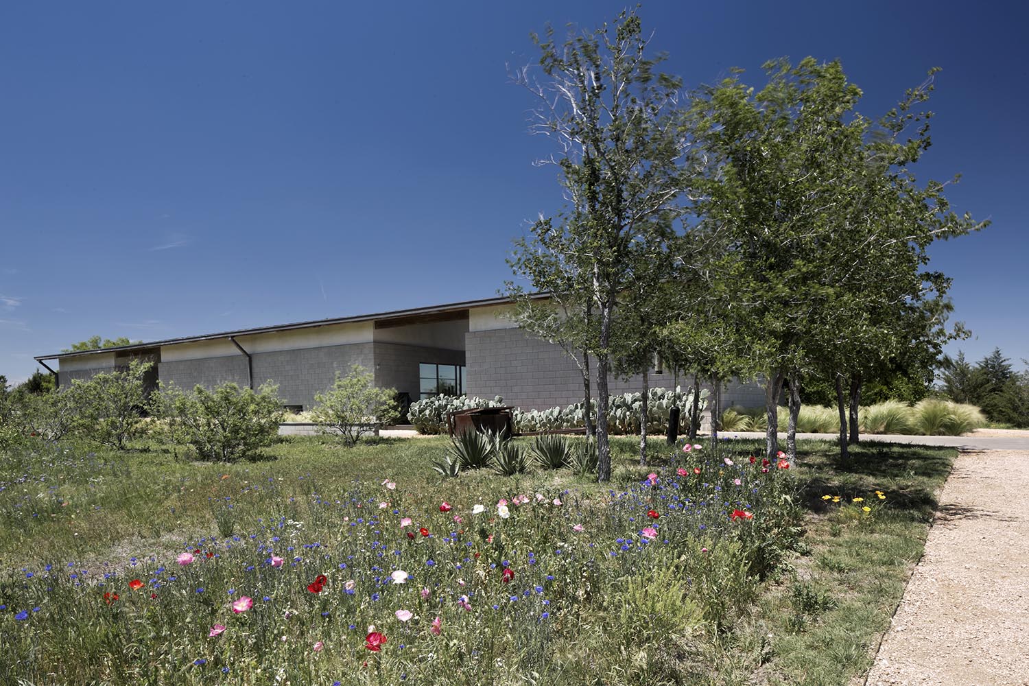 Bluestem 2013 | Norman Ward Architect - Fort Worth, TX