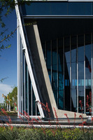 ©2025 Charles Davis Smith, LLC (All Images Copyright Protected)