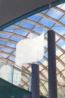 ©2025 Charles Davis Smith, LLC (All Images Copyright Protected)