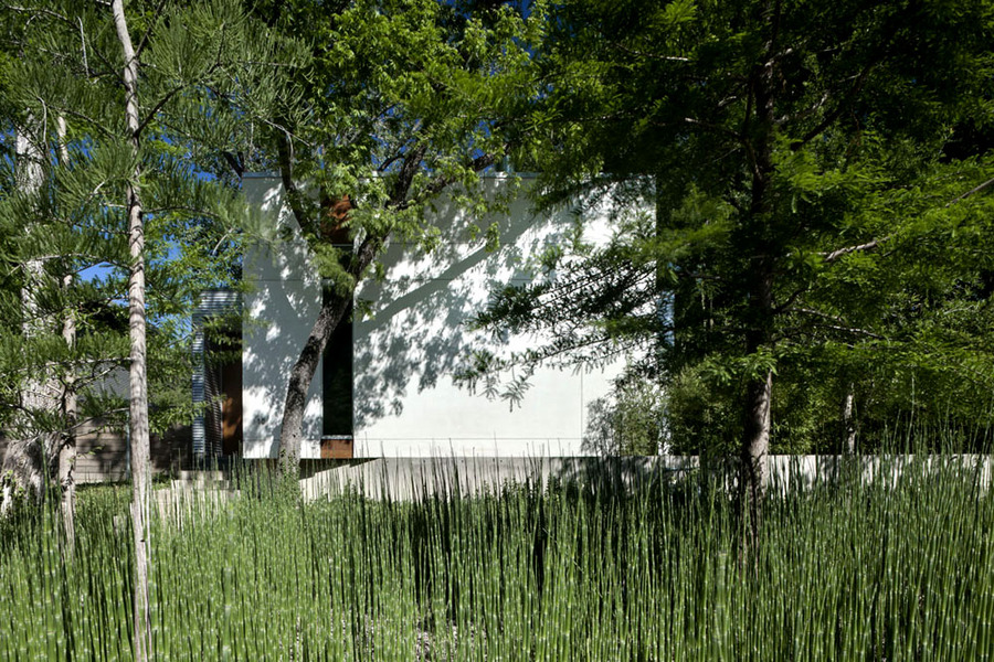 T-5 House-Urban Reserve 2011 | Maria Gomez AIA