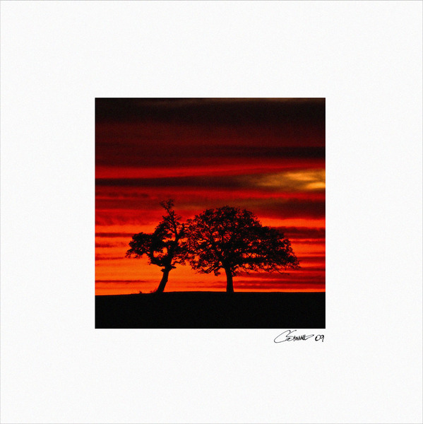 'Sunset On The Ranch' | 2009 Central Texas