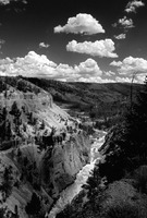 ©2020 Charles Davis Smith, LLC (All Images Copyright Protected)