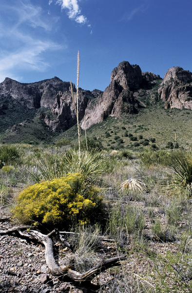 Mountains - 1996 | Big Bend National Park