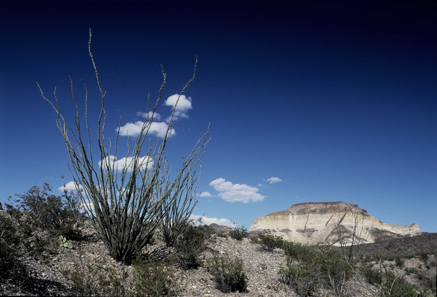 'Octollio and Mountains with Clouds' - 1996 | Big Bend National Park