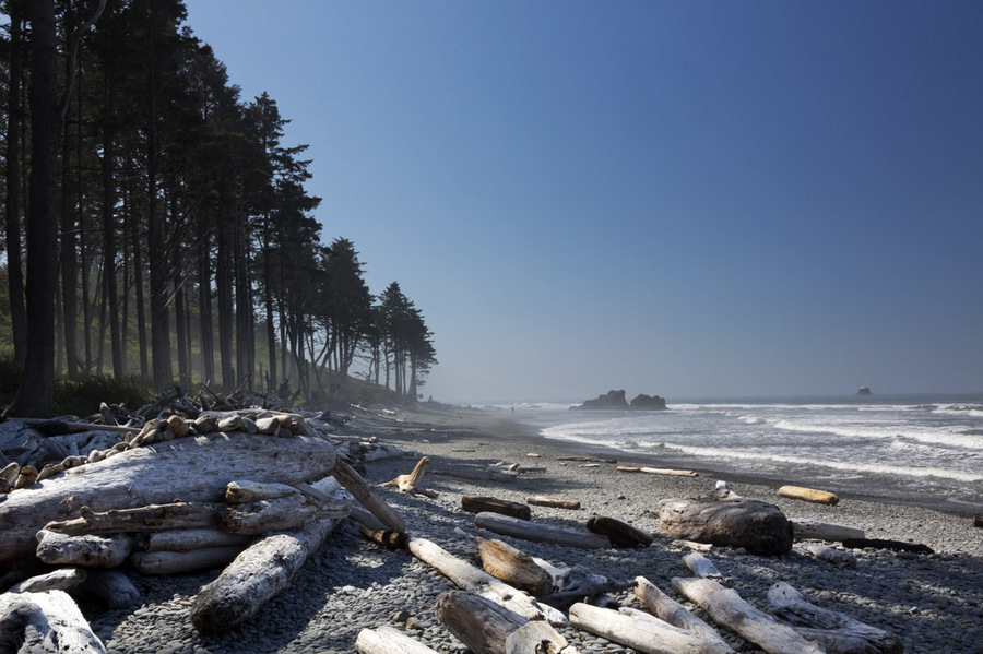 Ruby Beach - 2012
