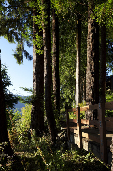 Lake Quinault - 2012