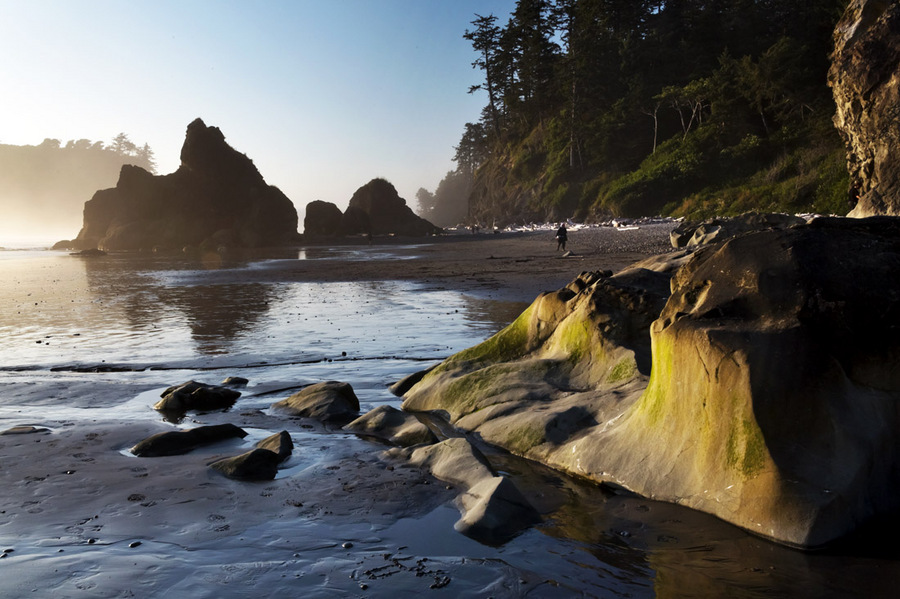 Ruby Beach - 2012