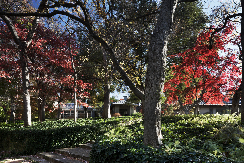 Farquhar Residence 2010-13 | Frank Welch and Associates