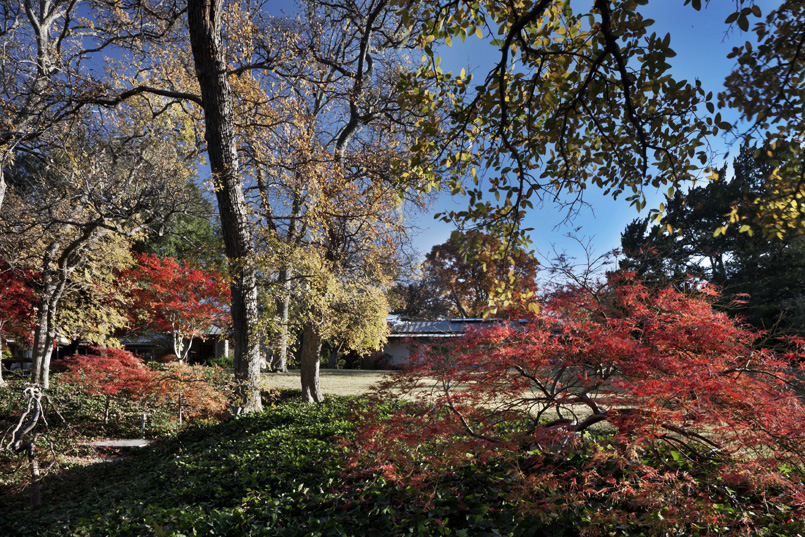 Farquhar Residence 2010-13 | Frank Welch and Associates