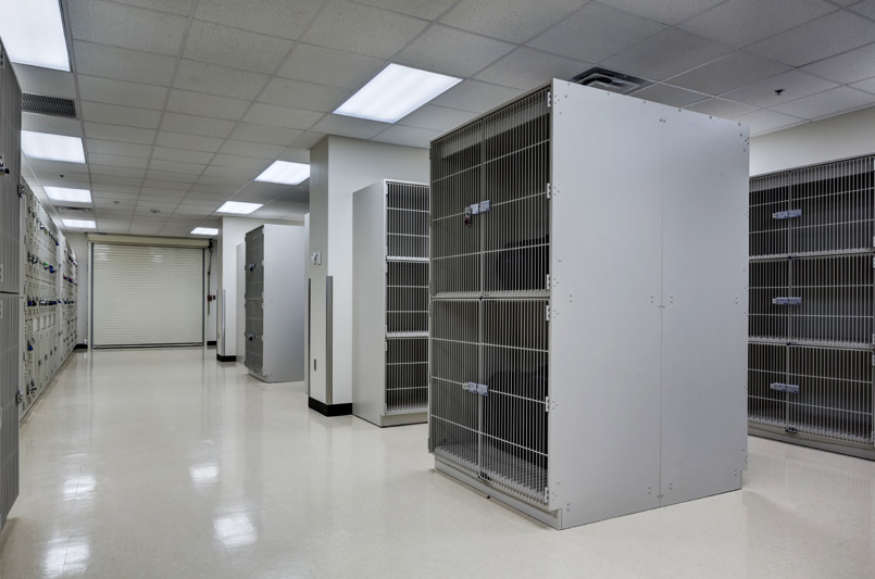 Broken Arrow Intermediate School - 2013 | Perkins+Will  with Selser Schaefer Architects