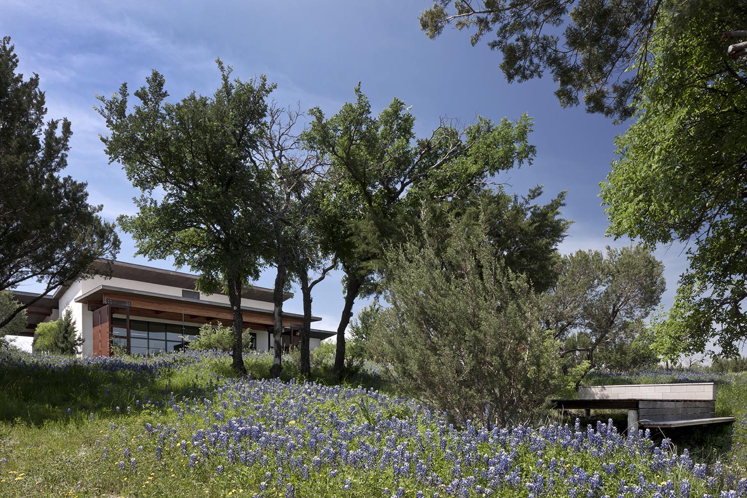 Bluestem 2013 | Norman Ward Architect - Fort Worth, TX