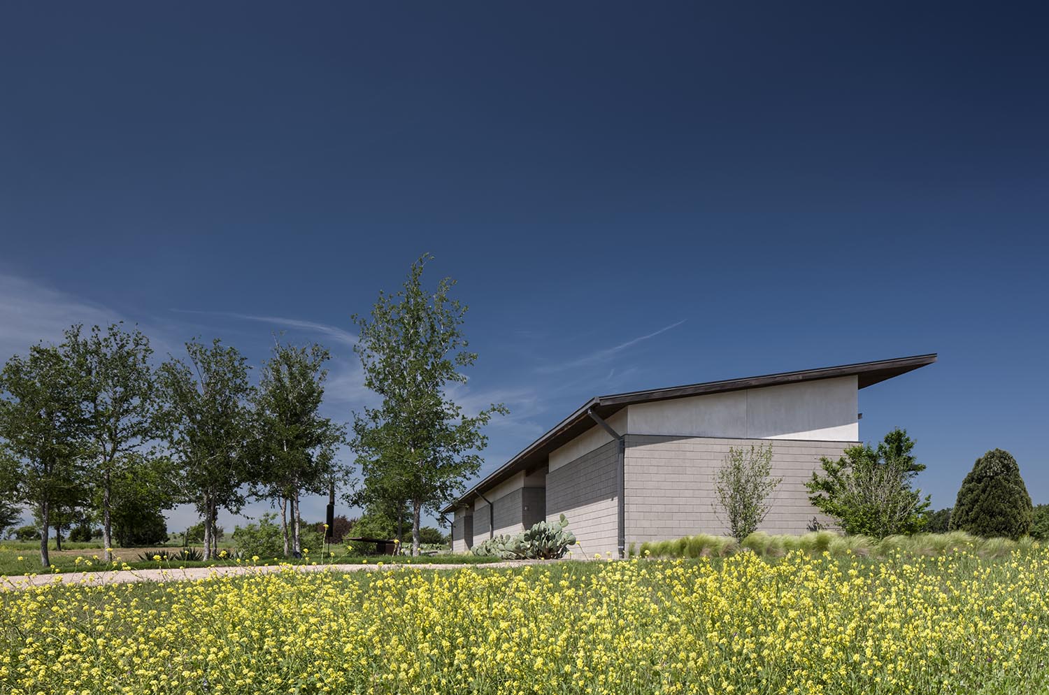 Bluestem 2013 | Norman Ward Architect - Fort Worth, TX