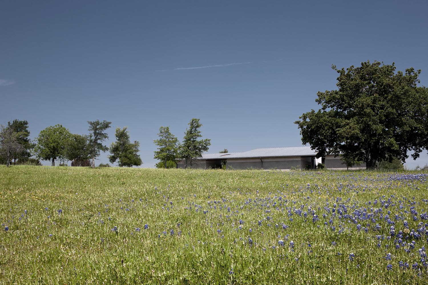 Bluestem 2013 | Norman Ward Architect - Fort Worth, TX