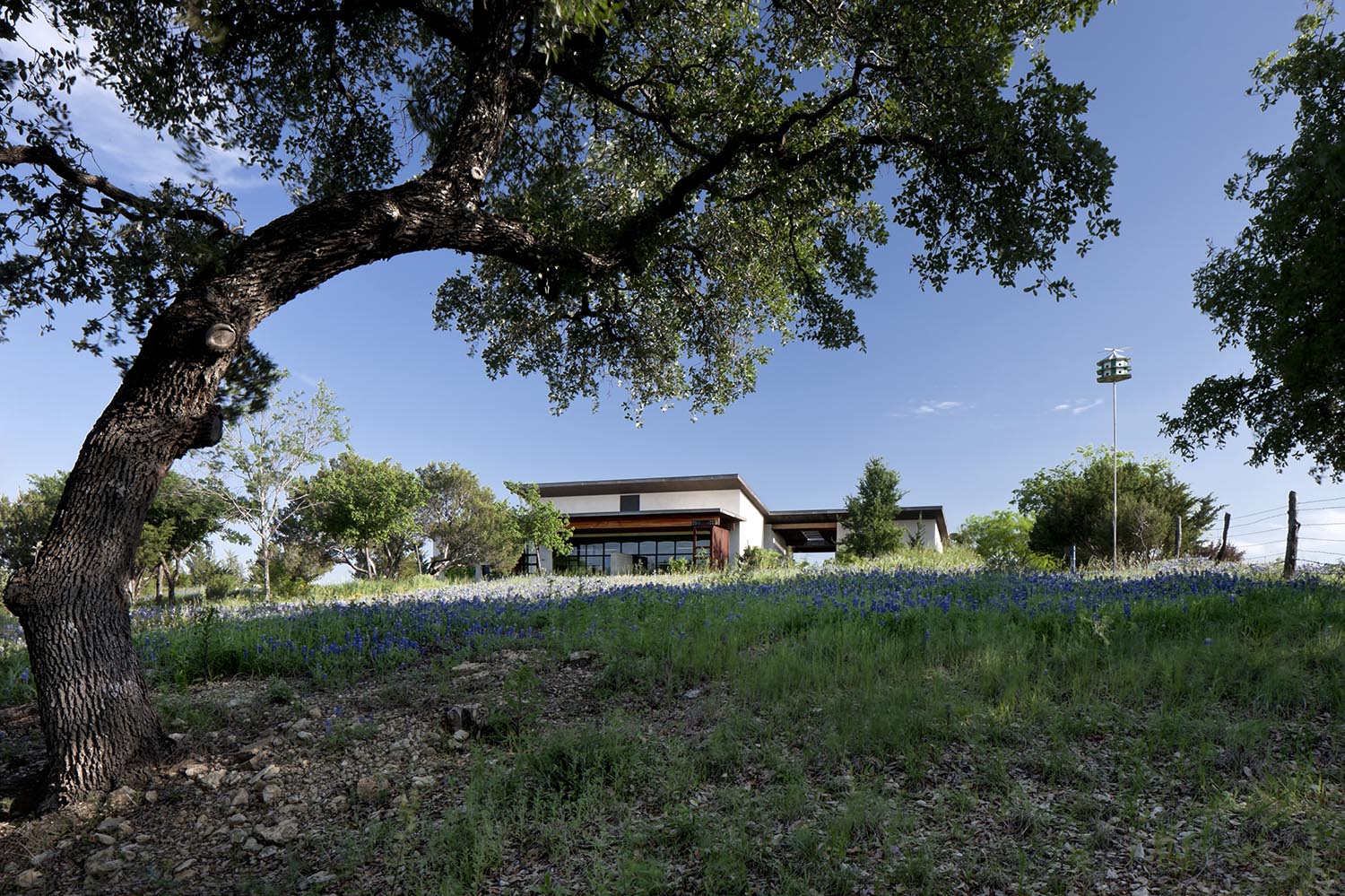 Bluestem 2013 | Norman Ward Architect - Fort Worth, TX