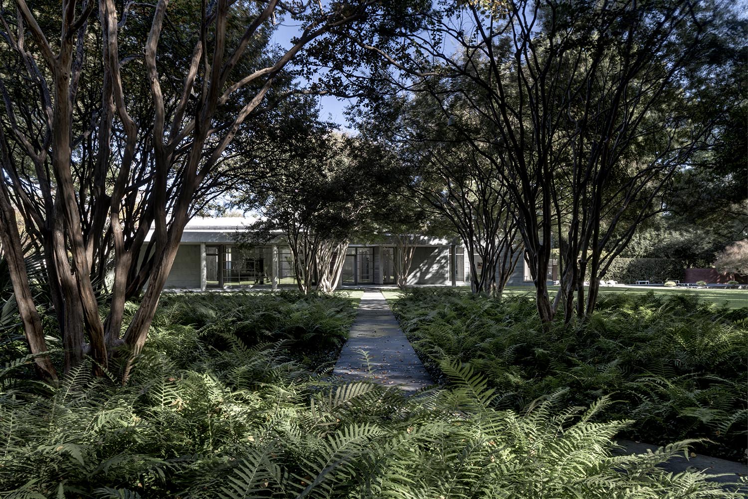 Private Art Gallery - Dallas | Booziotis & Company Architects - 2013