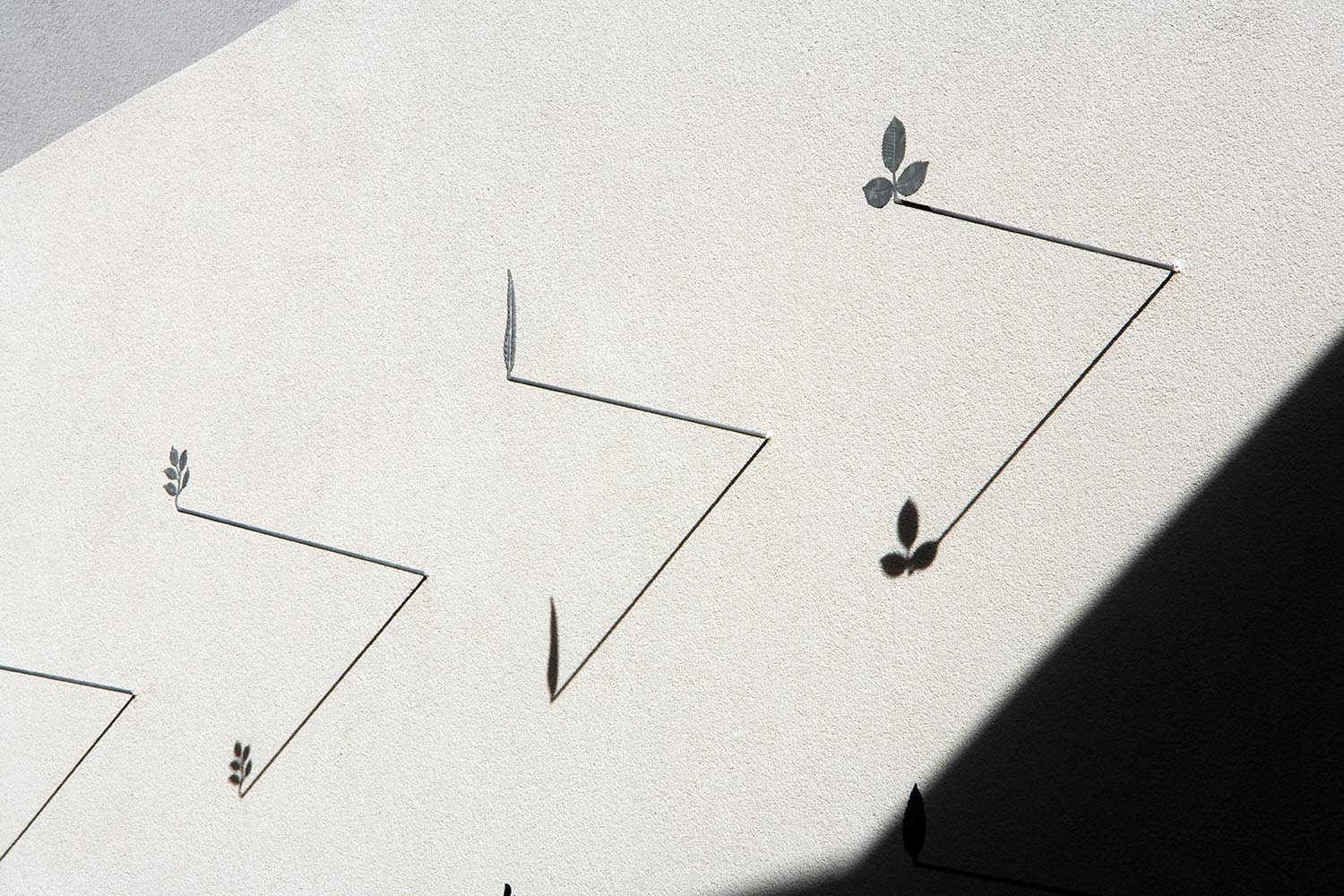 Bent Tree - 2003-07 | Max Levy - FAIA