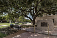 ©2020 Charles Davis Smith, LLC (All Images Copyright Protected)