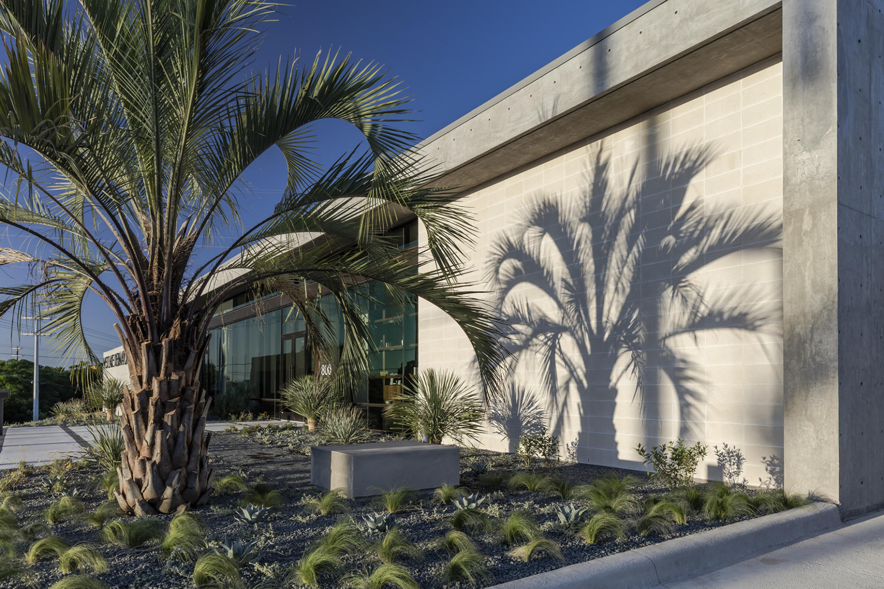 Dermatology Clinic - 2017 | MFArchitecture