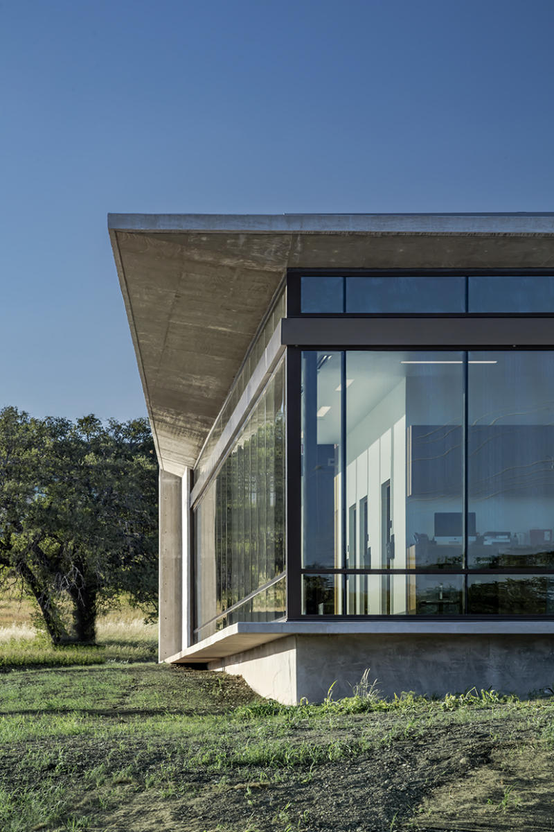 Dermatology Clinic - 2017 | MFArchitecture