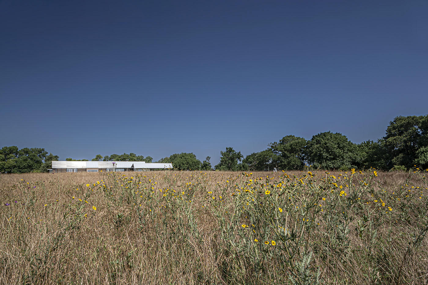 McKinney Ranch - 2005 | Ron Wommack FAIA