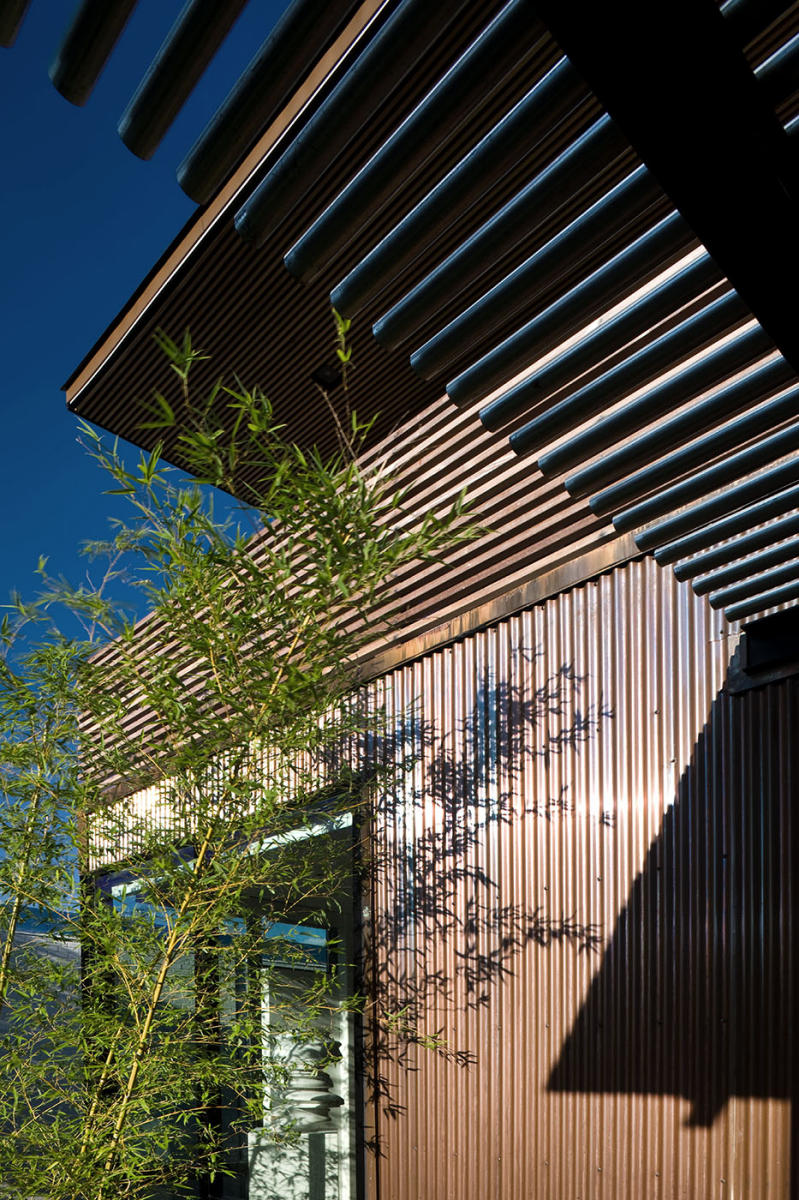 Buena Vista - 2009 | Ron Wommack FAIA