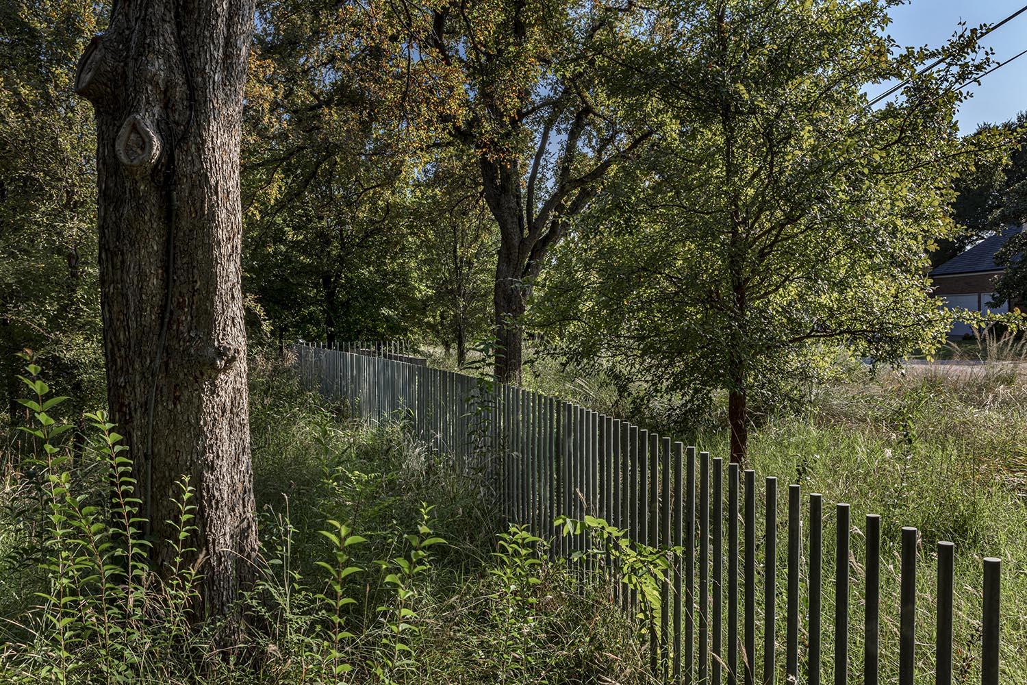 Williamsburg Residence - 2020 | Landscape Architect: Talley Associates