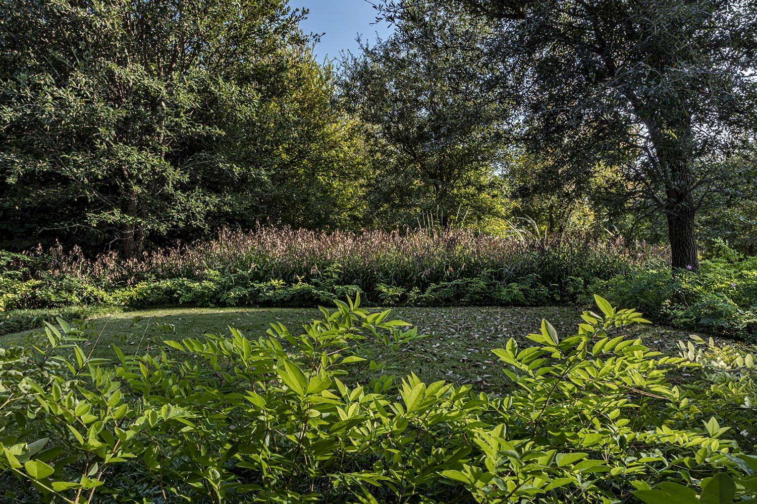 Williamsburg Residence - 2020 | Landscape Architect: Talley Associates