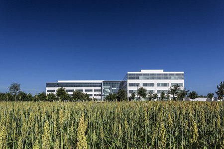 MedAssets | Charles Davis Smith - FAIA | Photographer